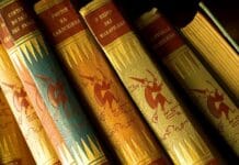 Polesie i Wołyń – zapomniane krainy II RP