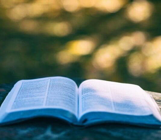 Rolnictwo w II RP – reforma rolna i jej skutki