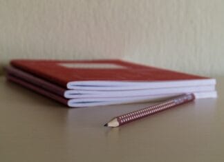 Jak wyglądała edukacja szlachcica?