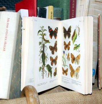 Afera Rywina – kulisy i skutki