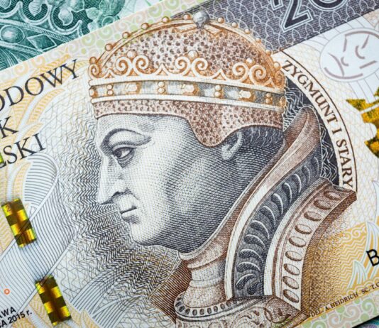 Powstanie listopadowe czy styczniowe: czym różniły się cele, przebieg i skutki? Powstanie listopadowe czy styczniowe: czym różniły się cele, przebieg i skutki?